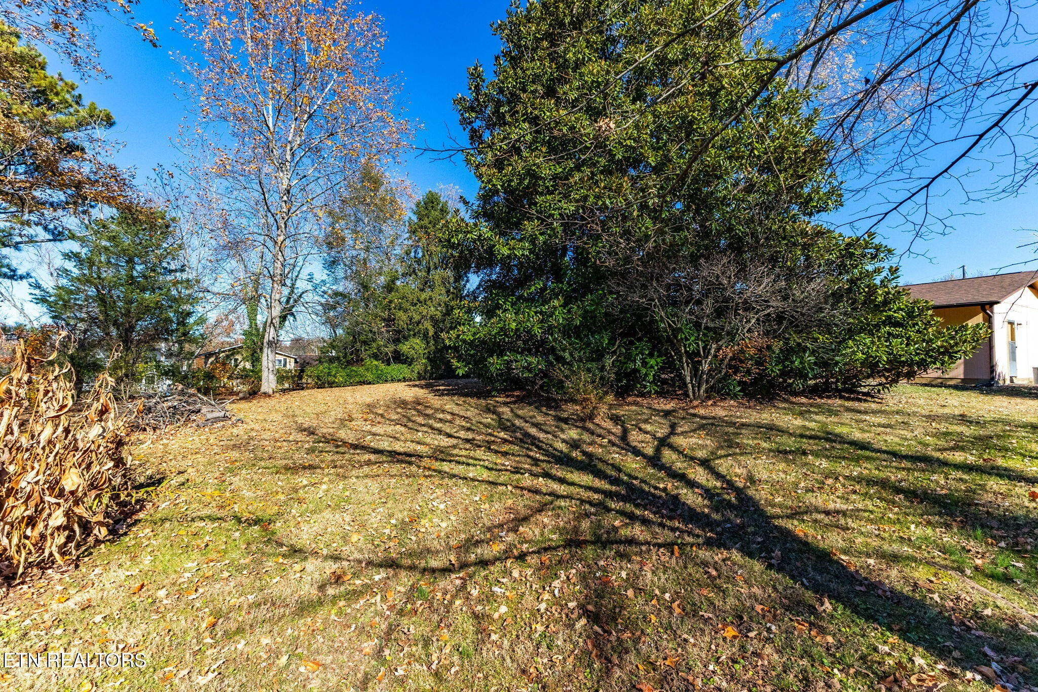 209 Debbie Road Knoxville, TN 37922 - Photo 30 of 33 Gallery Image 30