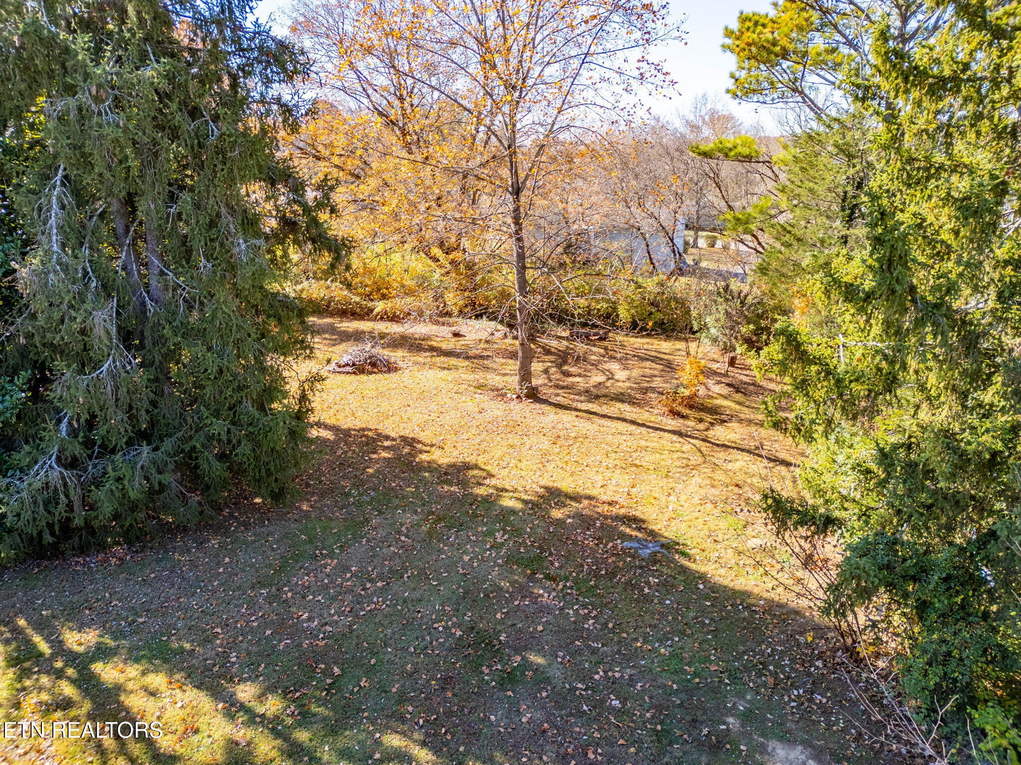 209 Debbie Road Knoxville, TN 37922 - Photo 31 of 33 Gallery Image 31