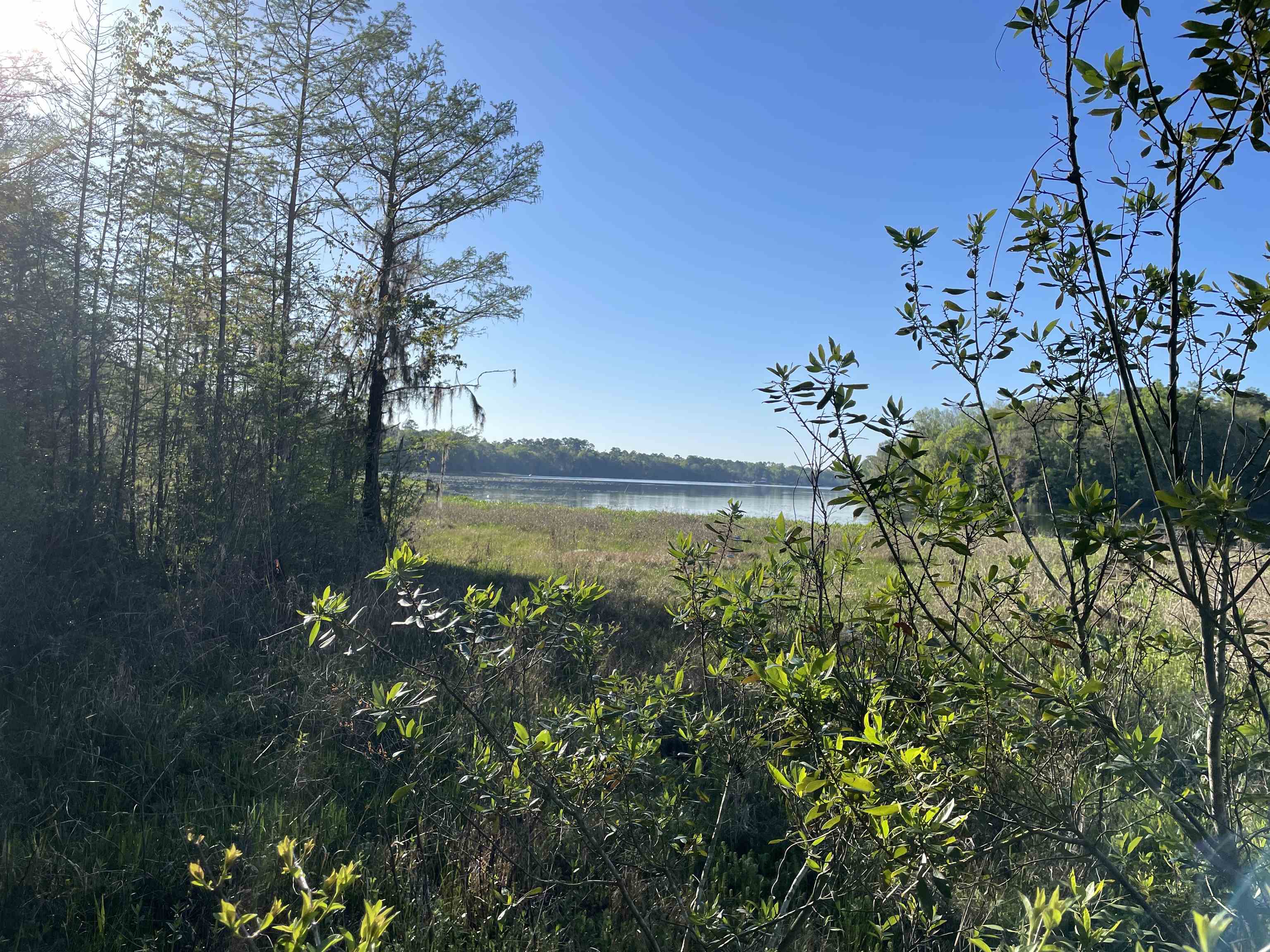 Mccook Road Quincy, FL 32351 - Photo 13 of 24