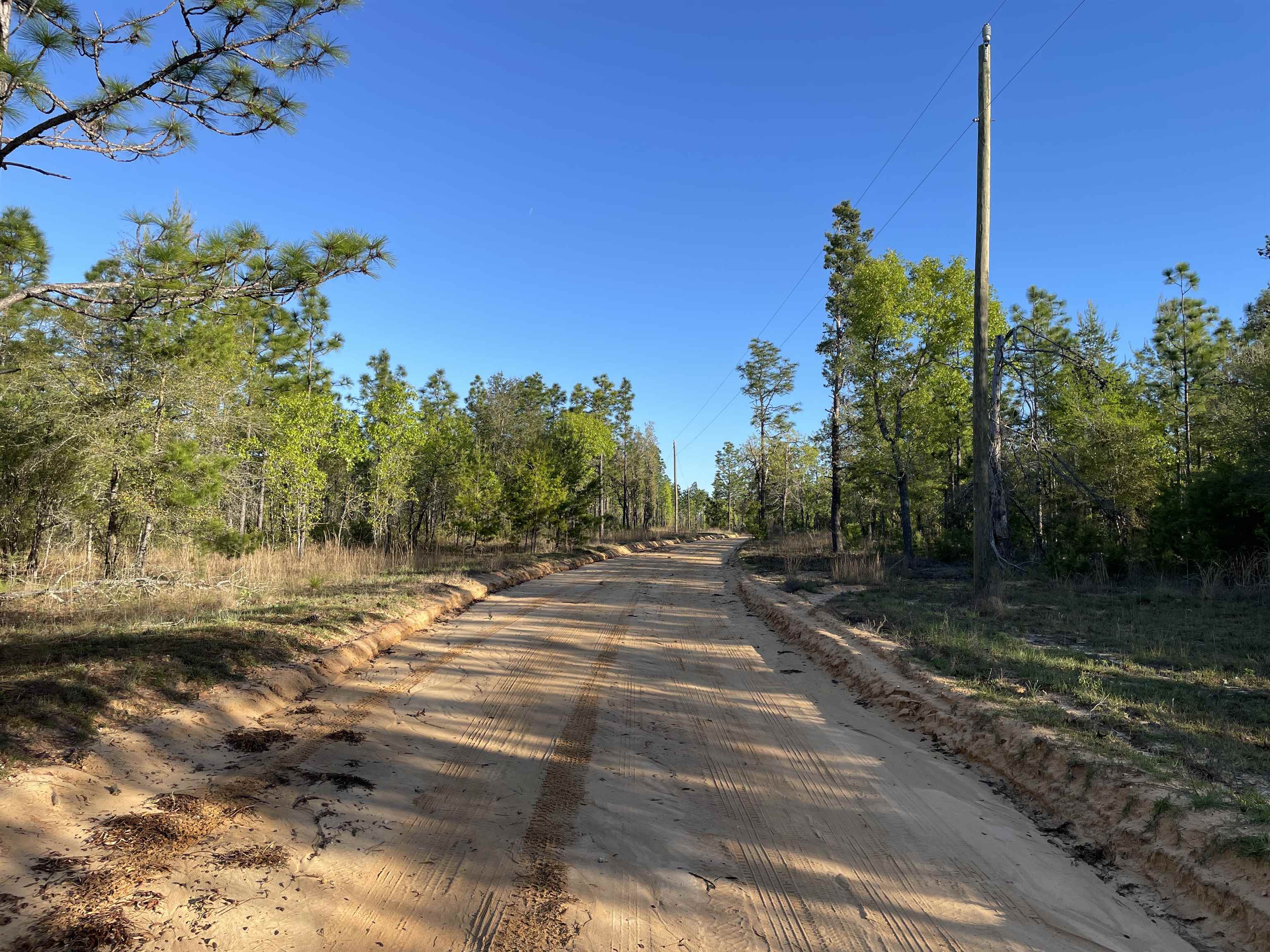 Mccook Road Quincy, FL 32351 - Photo 20 of 24