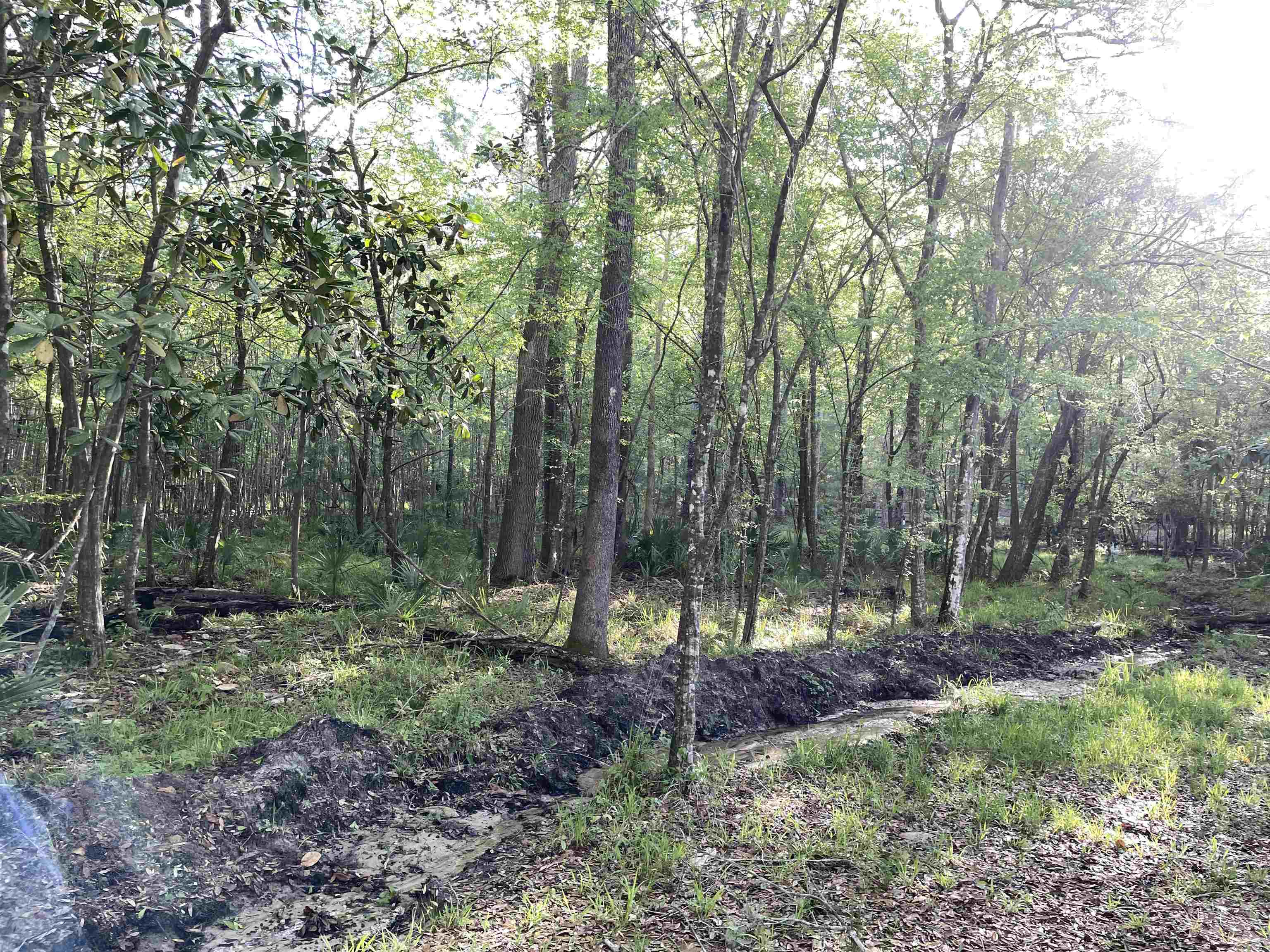 Mccook Road Quincy, FL 32351 - Photo 22 of 24