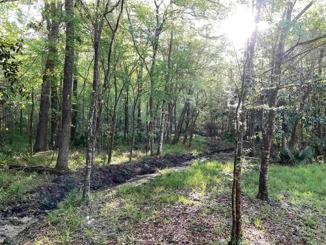 $35,000 | Mccook Road, Quincy, FL 32351