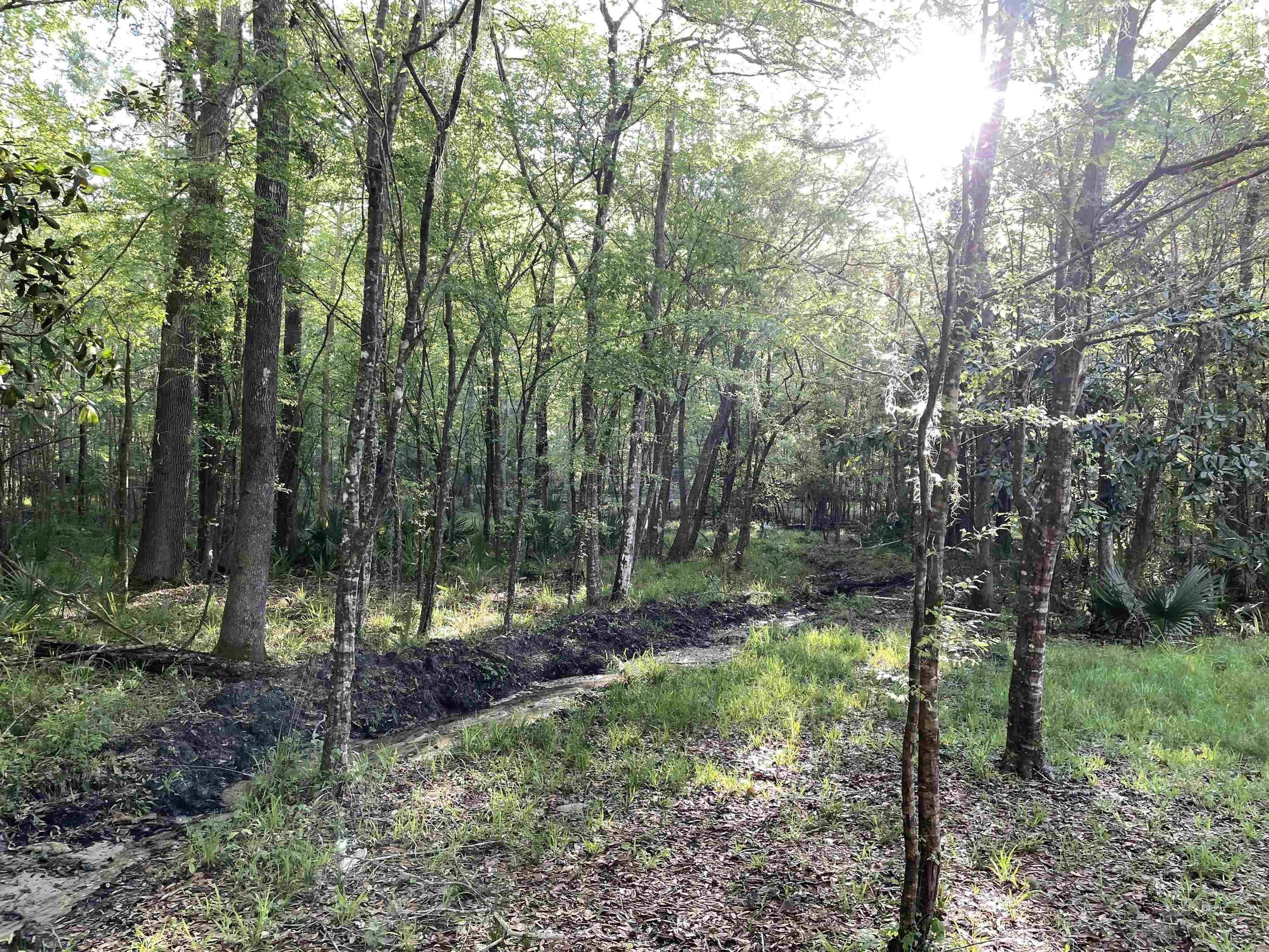 Mccook Road Quincy, FL 32351 - Photo 23 of 24