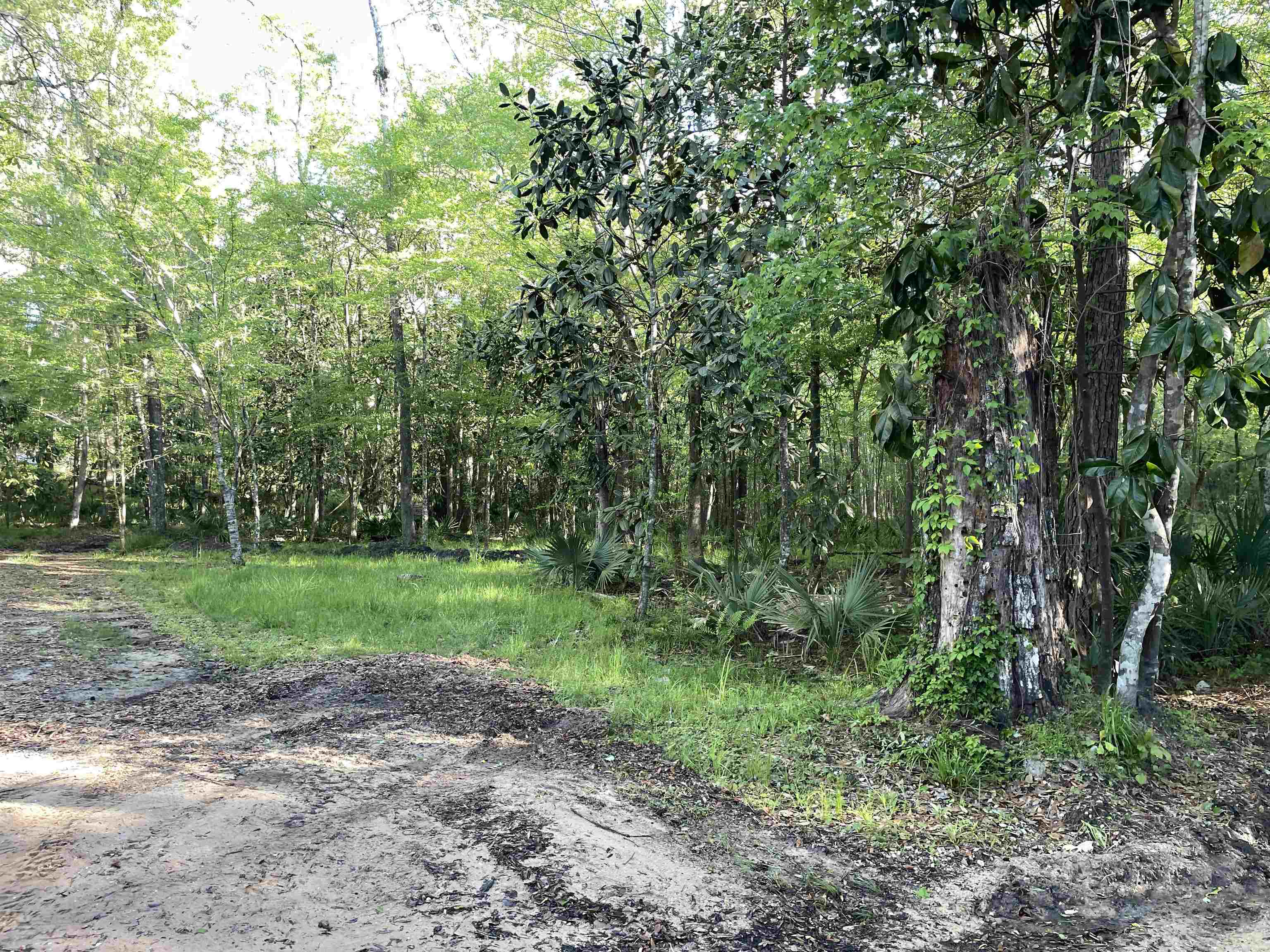 Mccook Road Quincy, FL 32351 - Photo 4 of 24