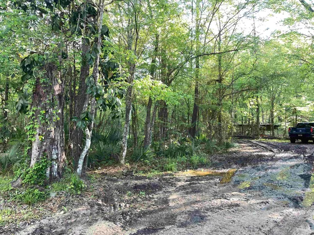 $35,000 | Mccook Road, Quincy, FL 32351