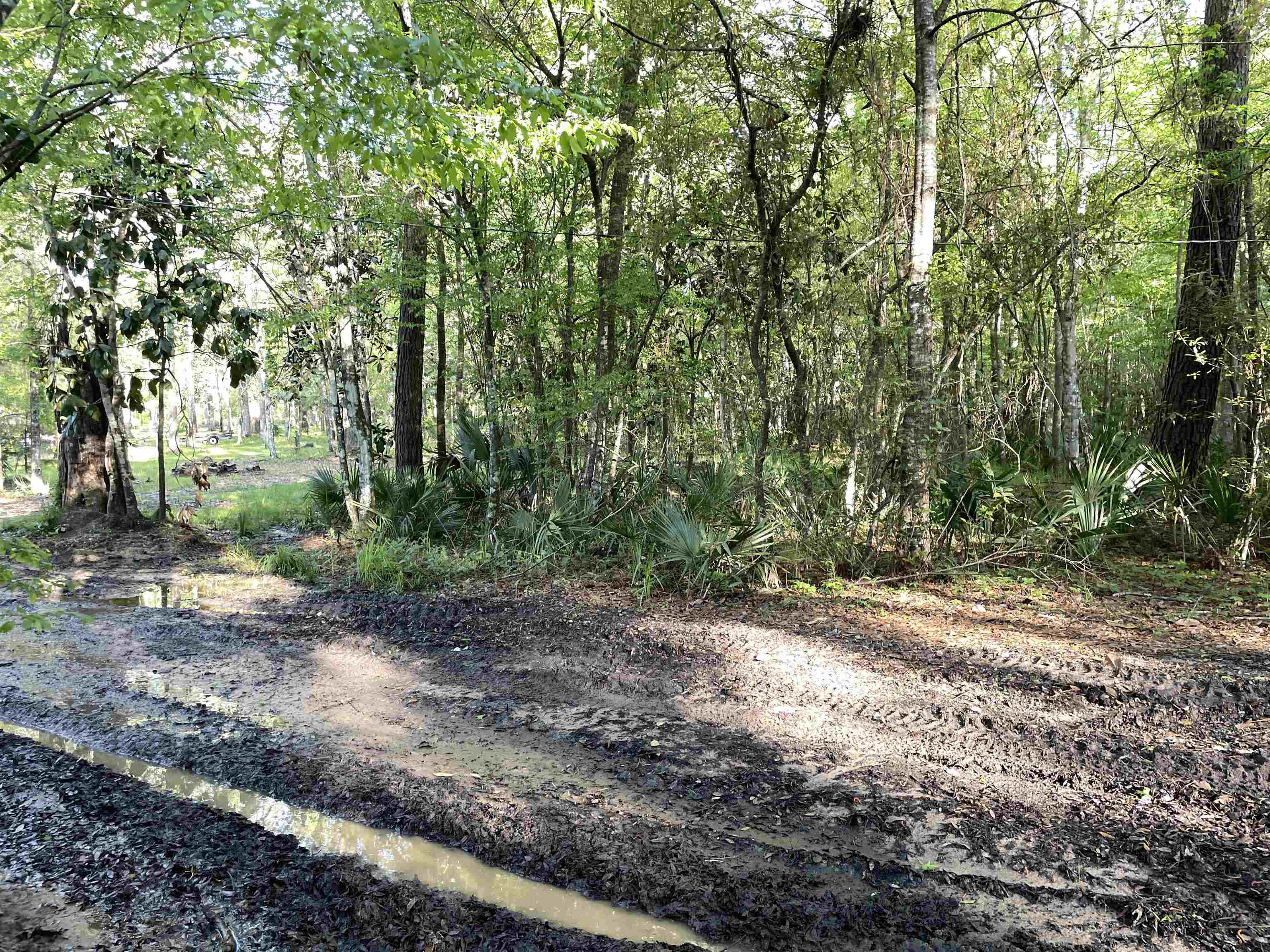 Mccook Road Quincy, FL 32351 - Photo 7 of 24