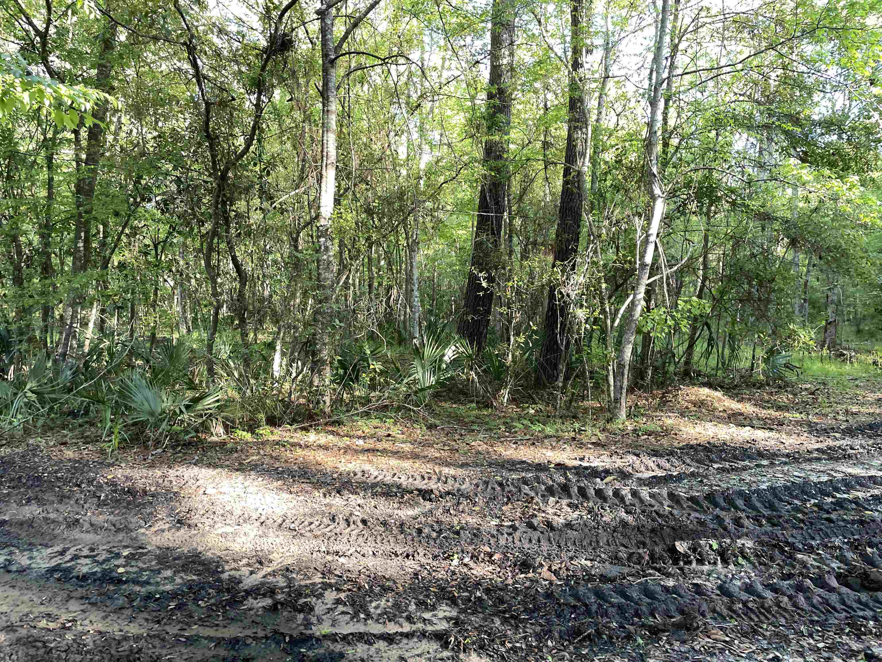 Mccook Road Quincy, FL 32351 - Photo 8 of 24