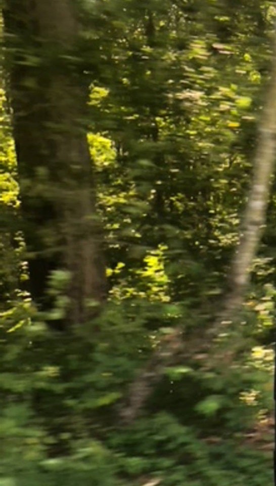 0 Little Jordan Road Mammoth Cave, KY 42259 - Photo 1 of 1 Gallery Image 1
