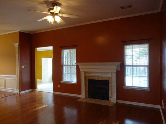 Gas fireplace