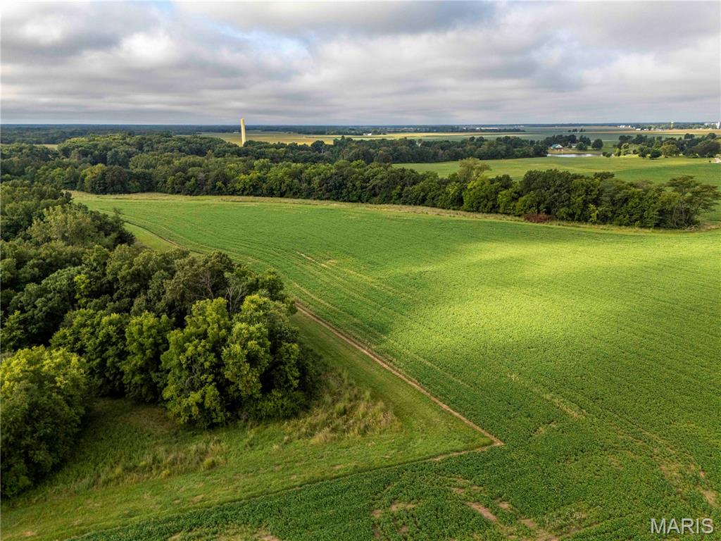 0 Terry Park Road Palmyra, IL 62674 - Photo 20 of 73 Gallery Image 20