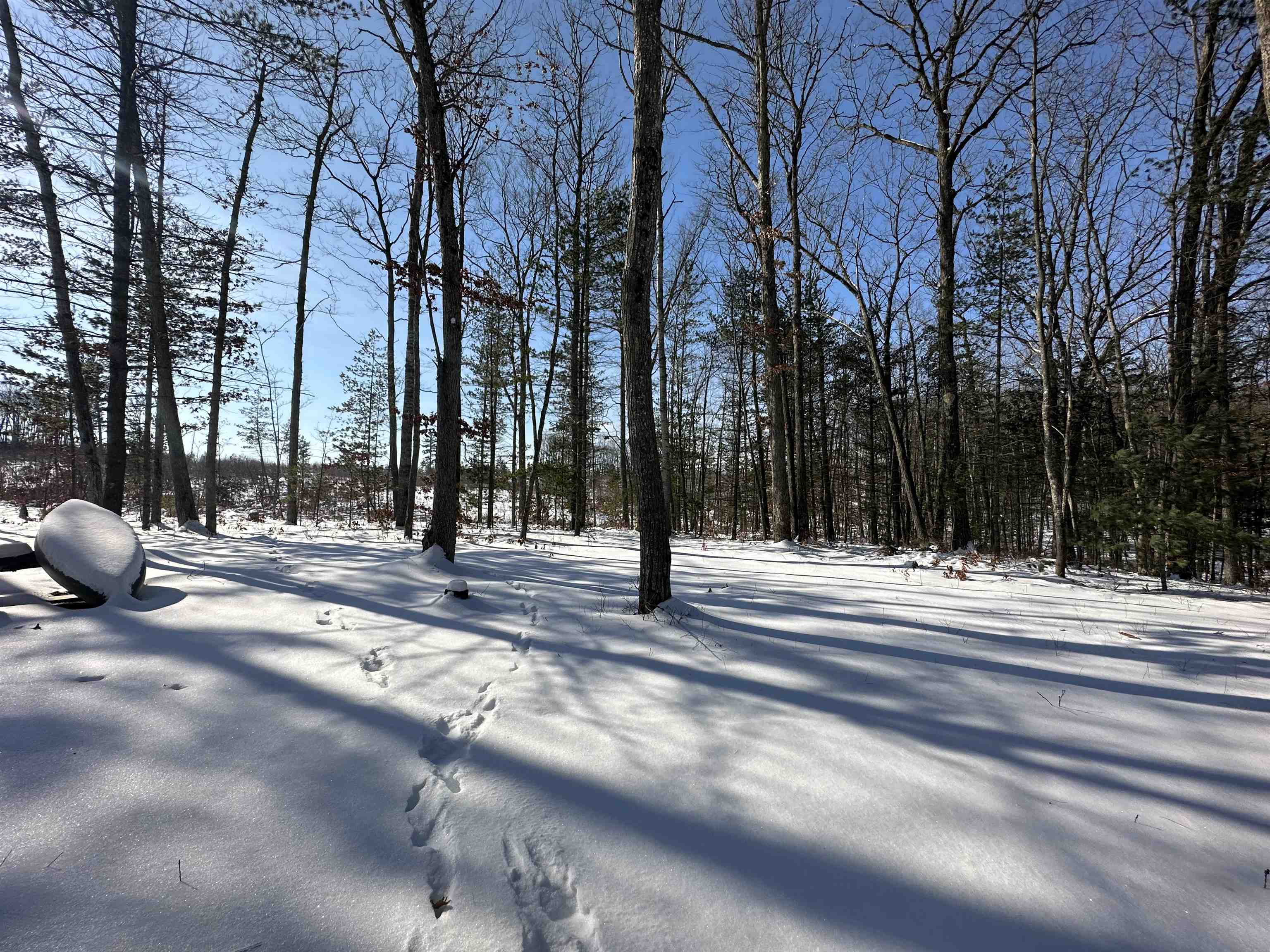 6980 Stephan Bridge Road Roscommon, MI 48653 - Photo 29 of 35 Gallery Image 29