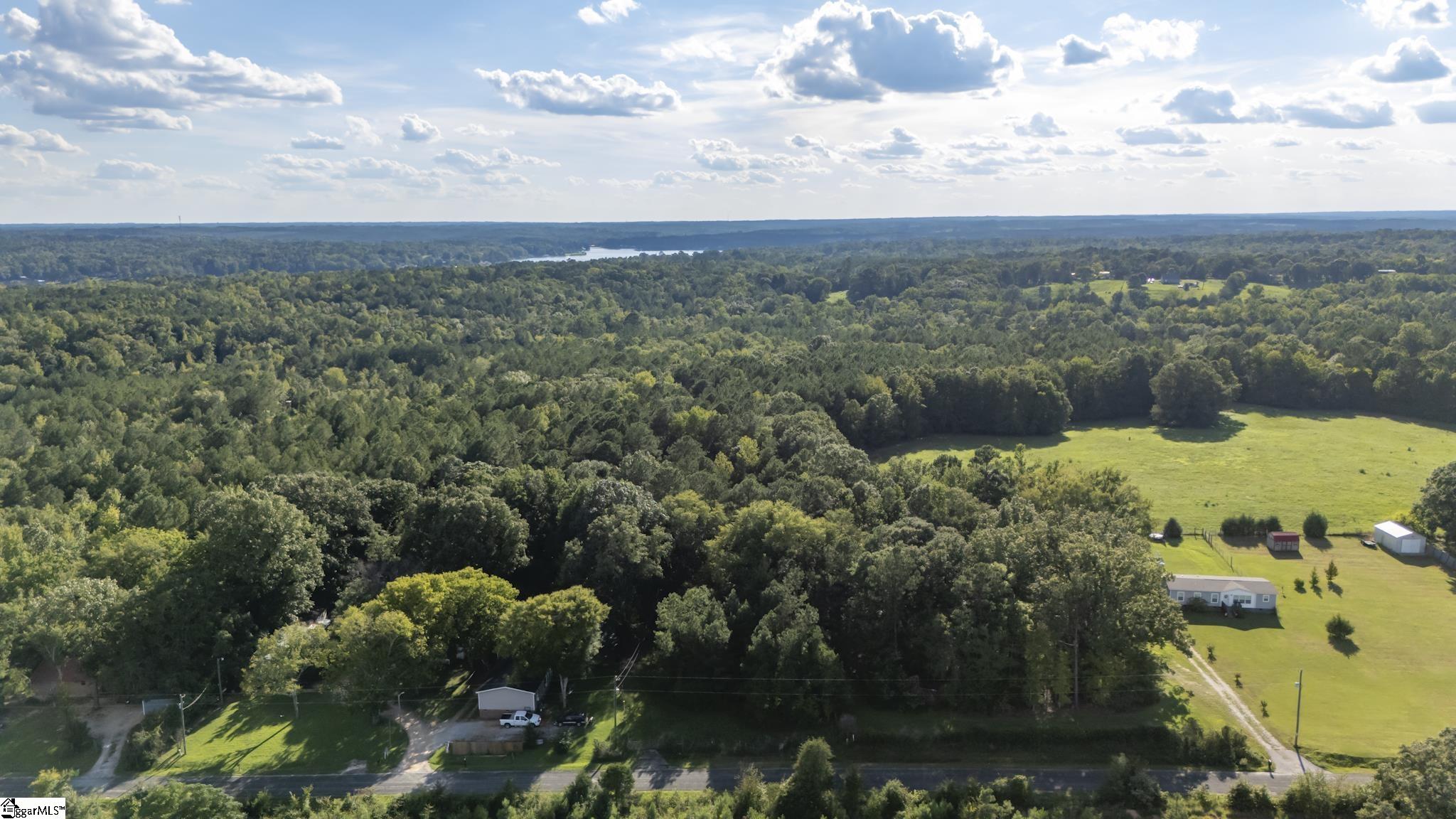 224 Old Oak Tree Road Waterloo, SC 29384 - Photo 4 of 9