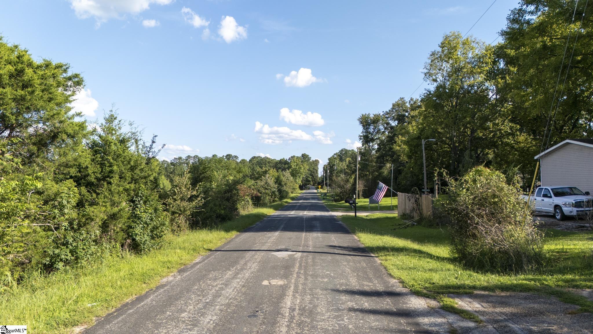 224 Old Oak Tree Road Waterloo, SC 29384 - Photo 5 of 9