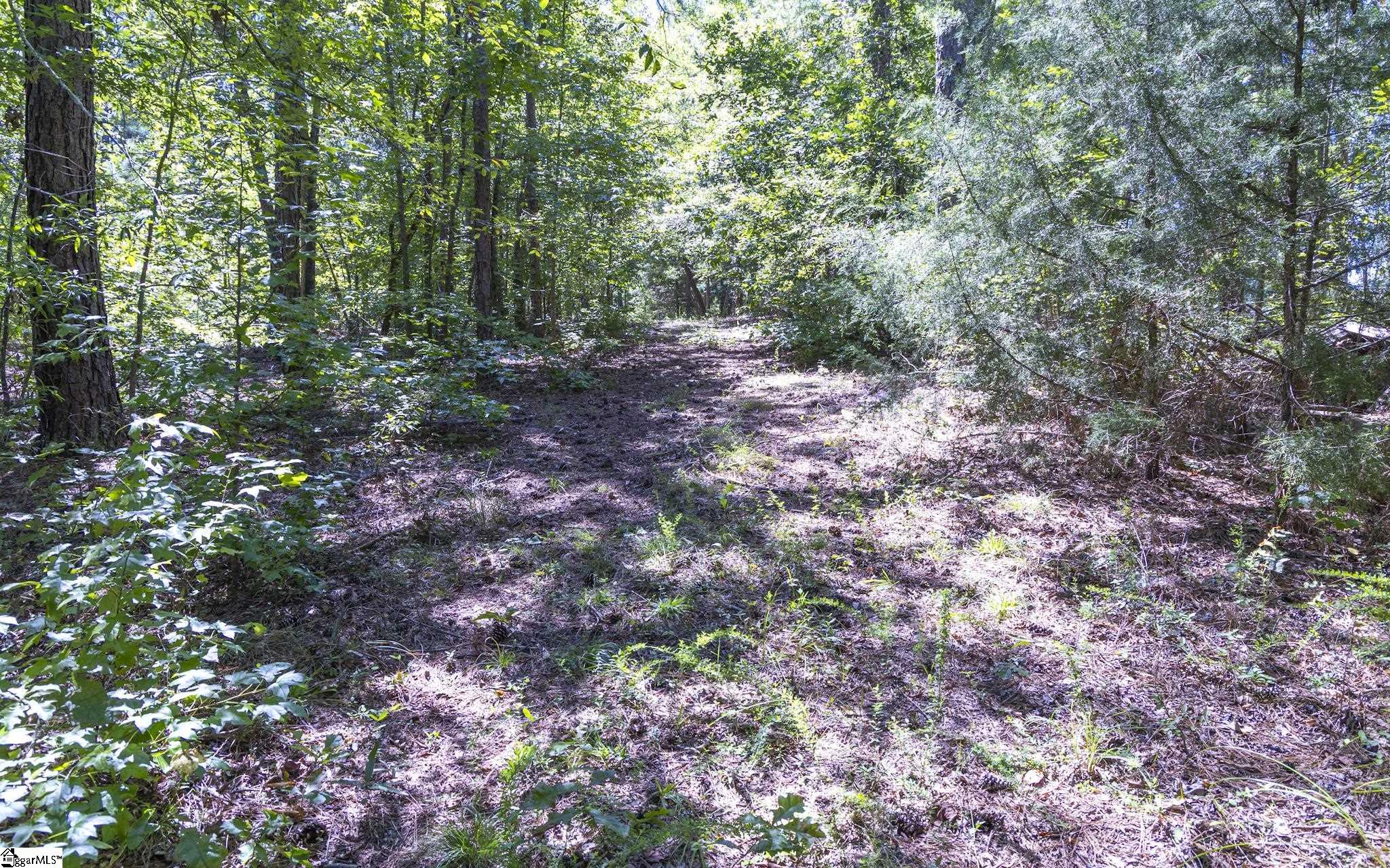 224 Old Oak Tree Road Waterloo, SC 29384 - Photo 7 of 9