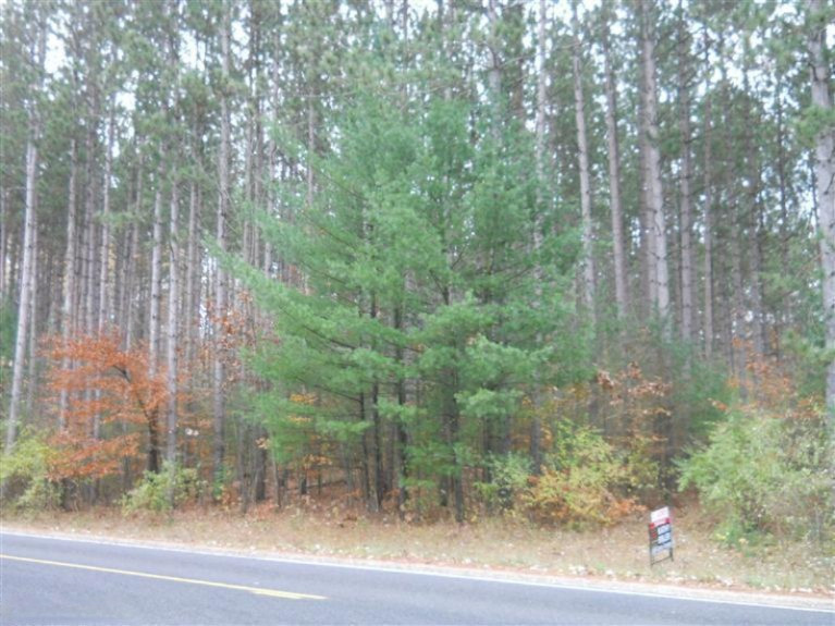 Lake Road Stanton, MI 48888 - Photo 1 of 2 Primary Photo