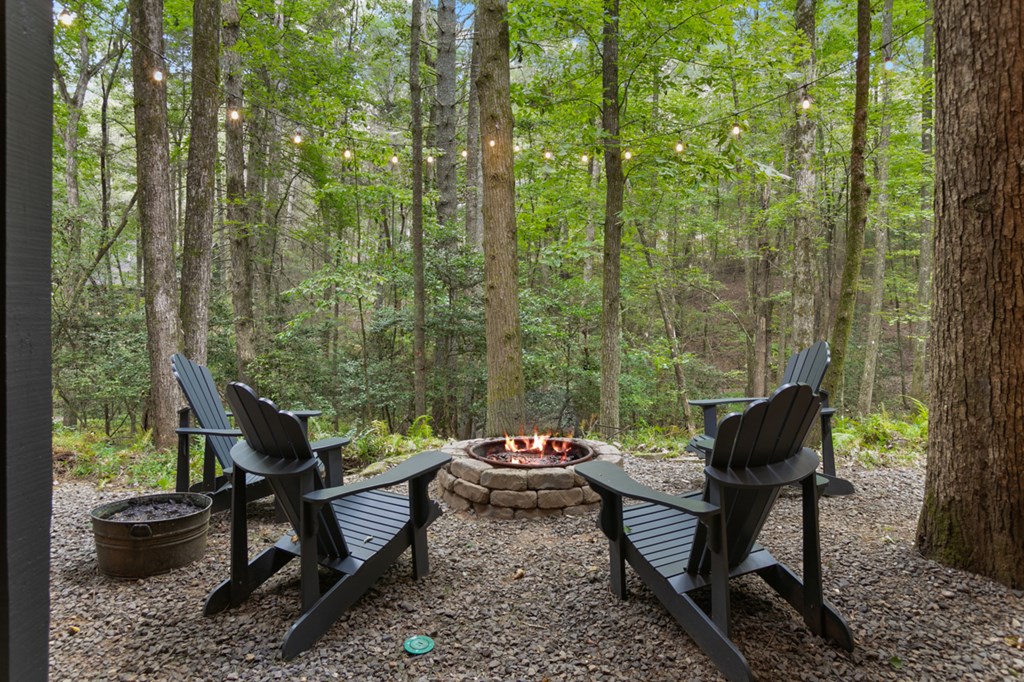 35 Cedar Ridge Road Cherry Log, GA 30522 - Photo 40 of 53 Gallery Image 40