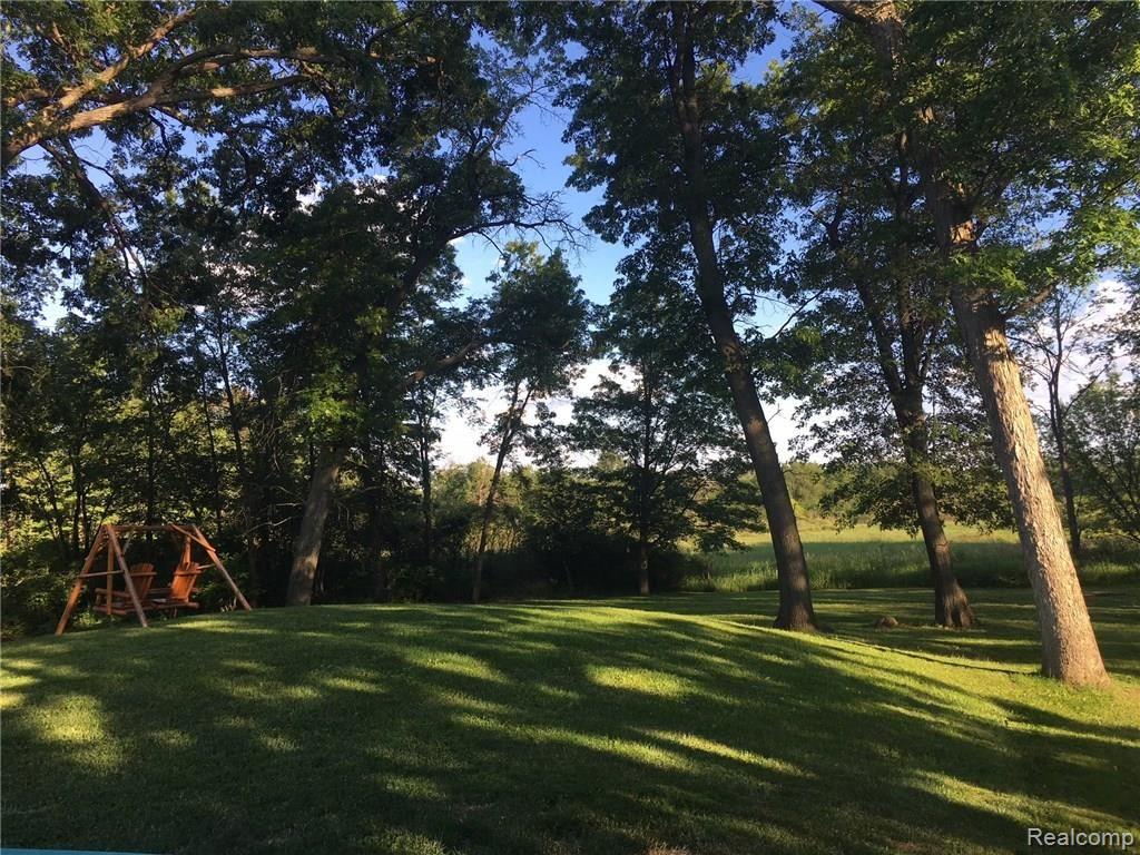 6321 West Sober Road Fowlerville, MI 48836 - Photo 42 of 43 Back yard summer time