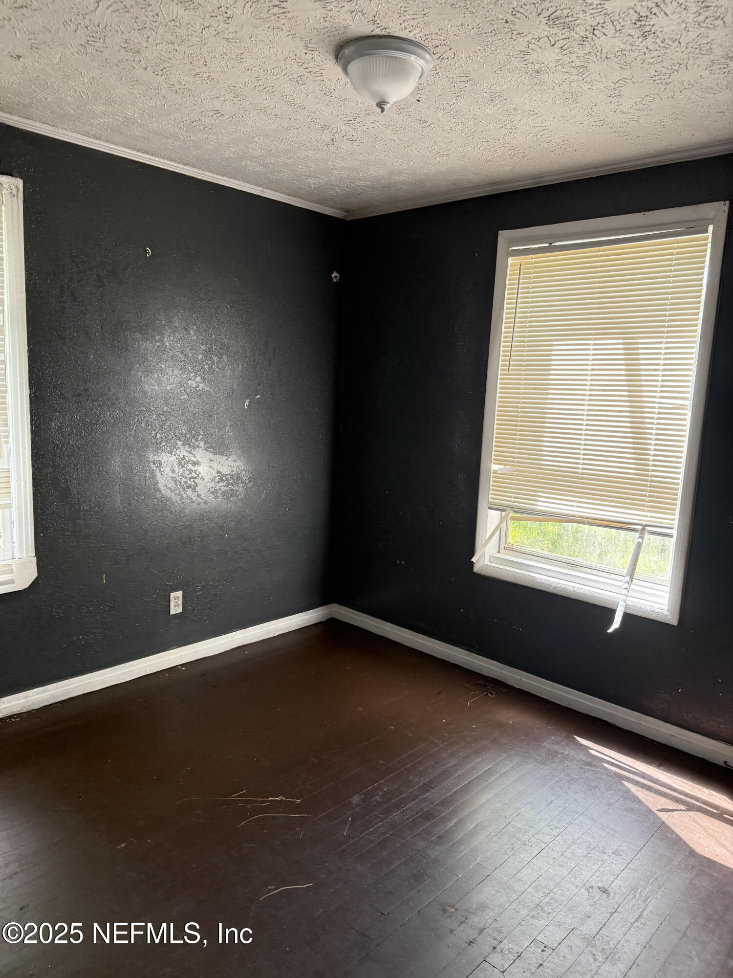 3036 Commonwealth Avenue Jacksonville, FL 32254 - Photo 5 of 9 unnamed (4)