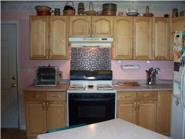 316 Woodrow Martin Road Brandon, MS 39042 - Photo 5 of 12 Kitchen has propane gas stove