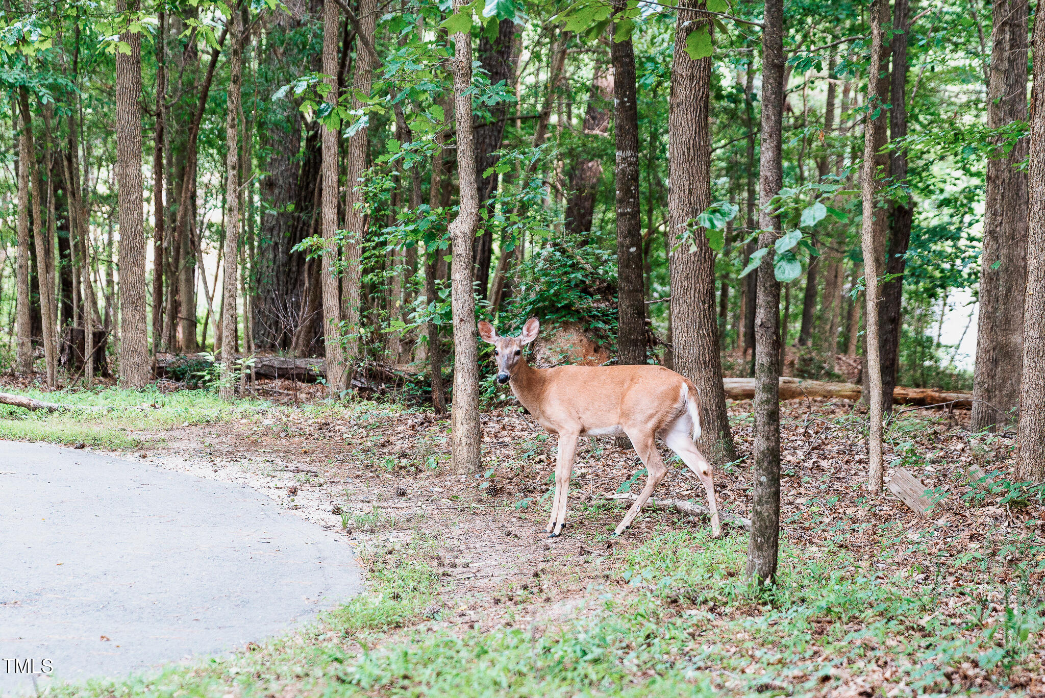 4820 Gossamer Lane, Unit 104 Raleigh, NC 27616 - Photo 42 of 45 a backyard of a house with table and chairs