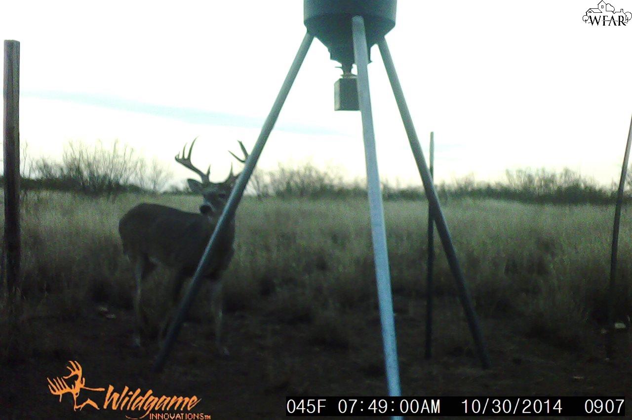 1460 Mayfield Road Quanah, TX 79252 - Photo 1 of 1 Gallery Image 1