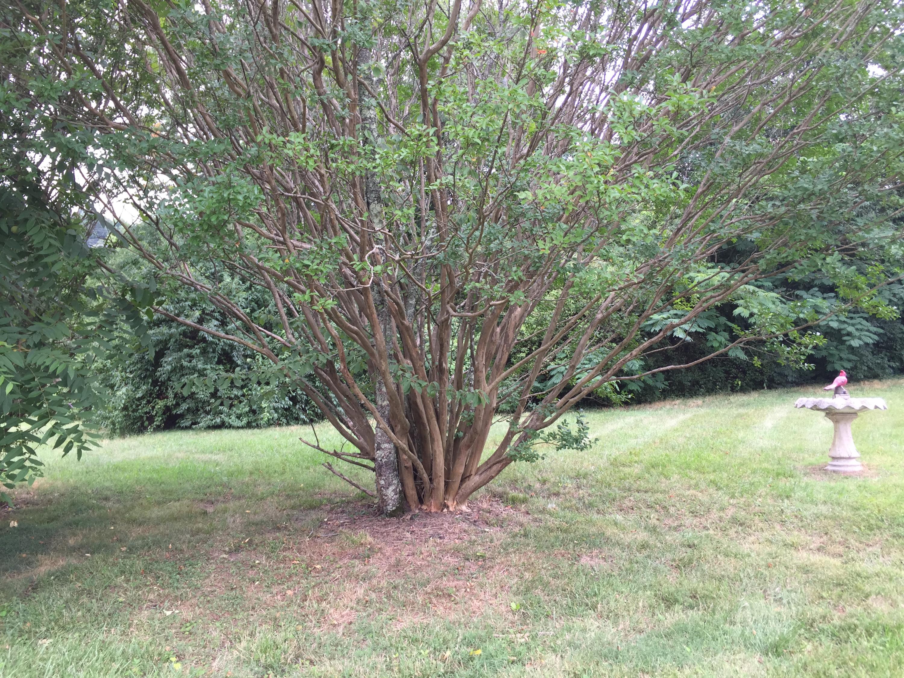 6111 Lacy Road Knoxville, TN 37912 - Photo 3 of 6 Lot