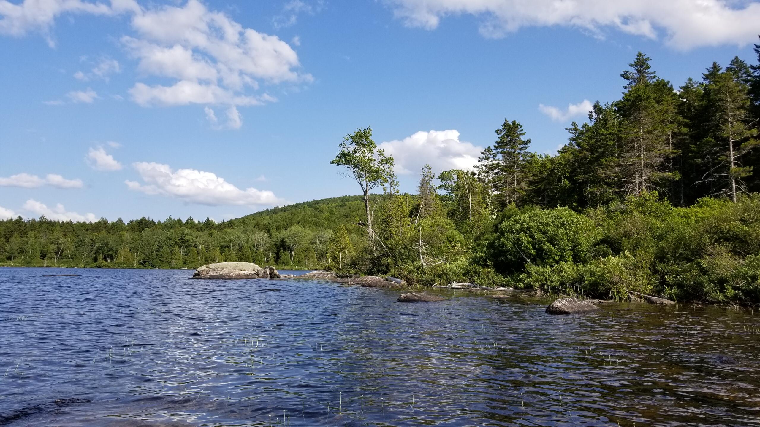 536 Lombard Road Lakeville, ME 04487 - Photo 56 of 57 Lombard15