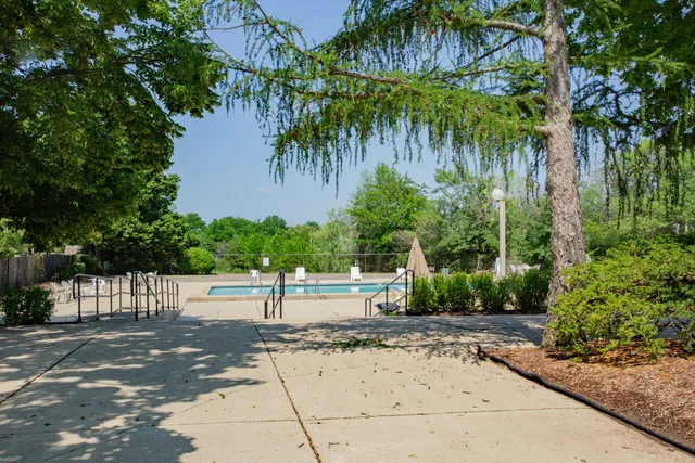 a row of palm trees and a yard with a fountain