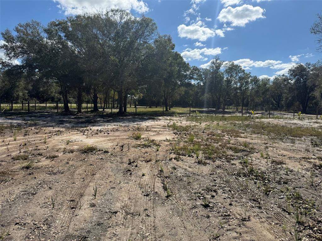 17618 Northwest 286th Street Okeechobee, FL 34972 - Photo 1 of 18 a view of a yard with a large tree