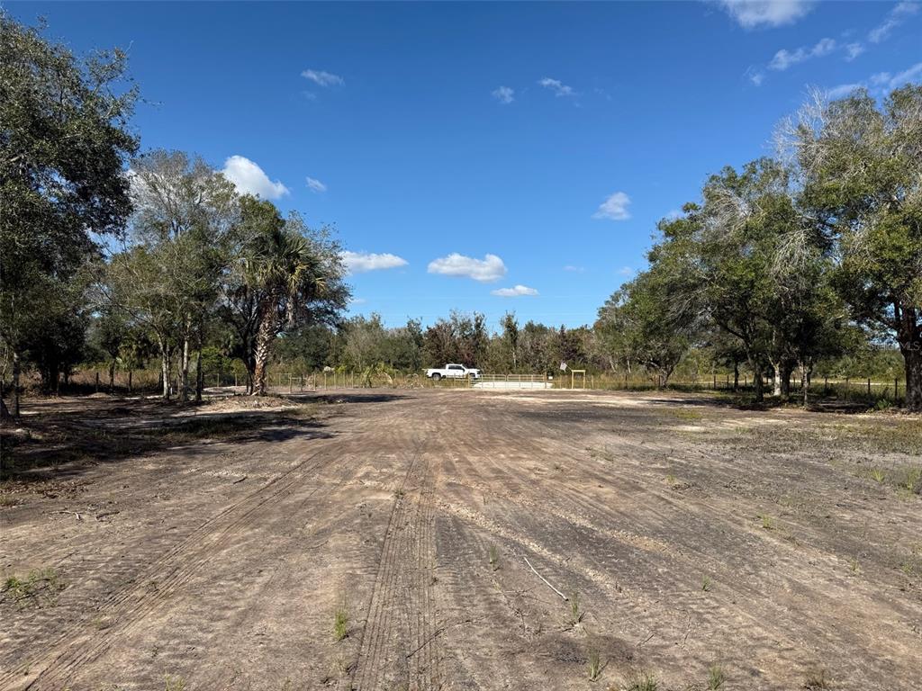 17618 Northwest 286th Street Okeechobee, FL 34972 - Photo 3 of 18 a view of a yard with a tree