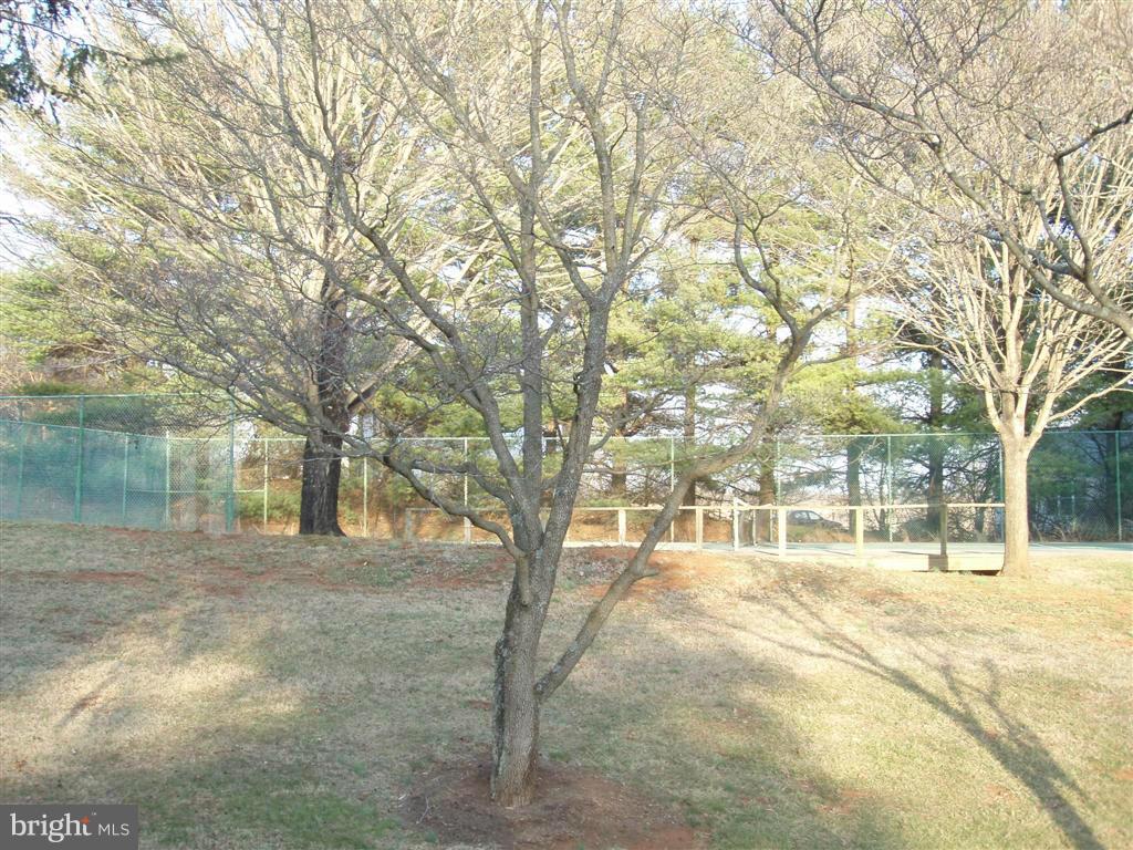 11508 Fox Hill Road Culpeper, VA 22701 - Photo 28 of 28 Exterior (General)