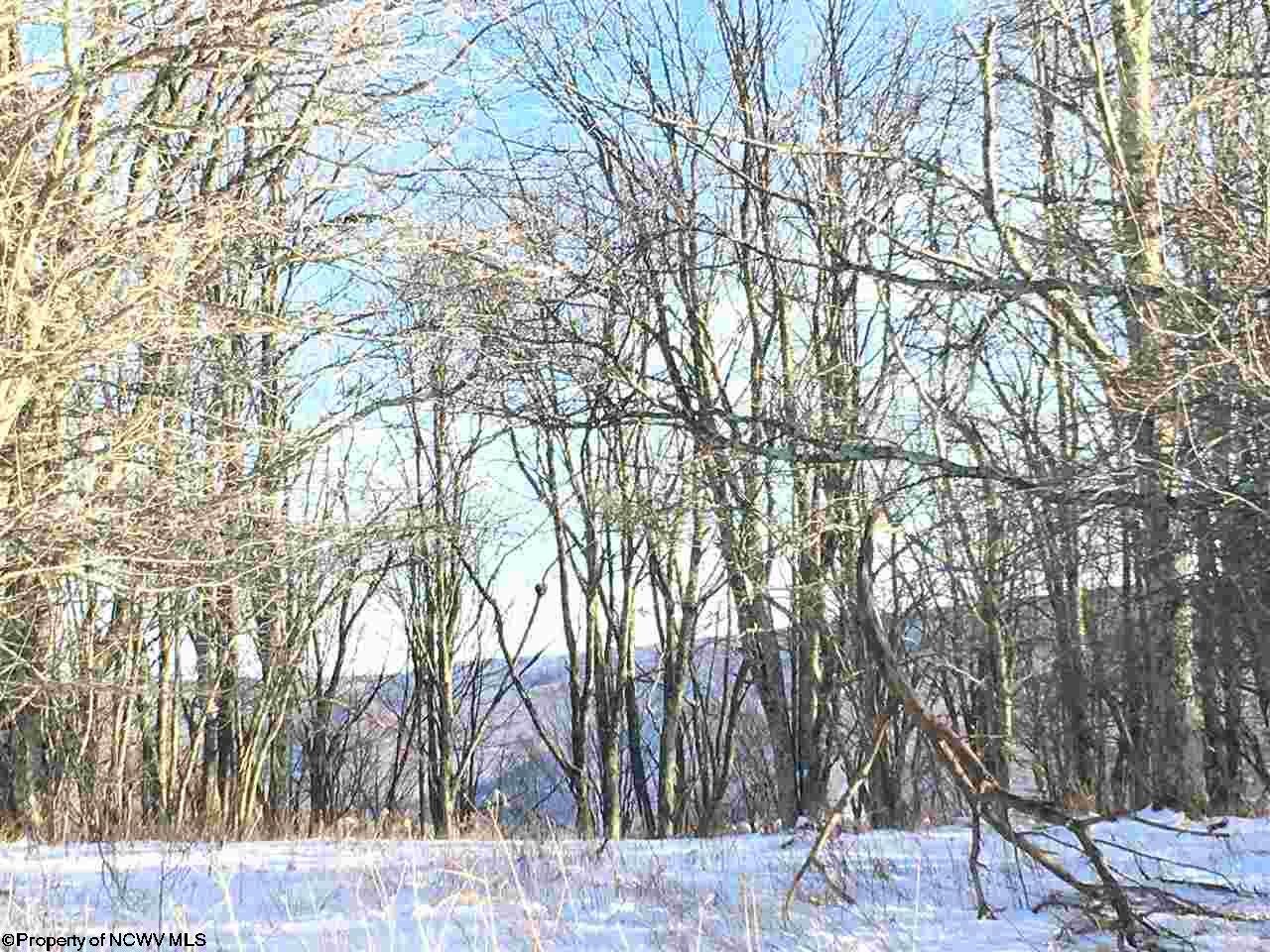 14 Pointy Knob Road Davis, WV 26260 - Photo 10 of 14 Gallery Image 10