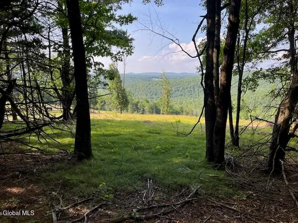 $15,000 | L49 Laura Lane, Middleburgh, NY 12122