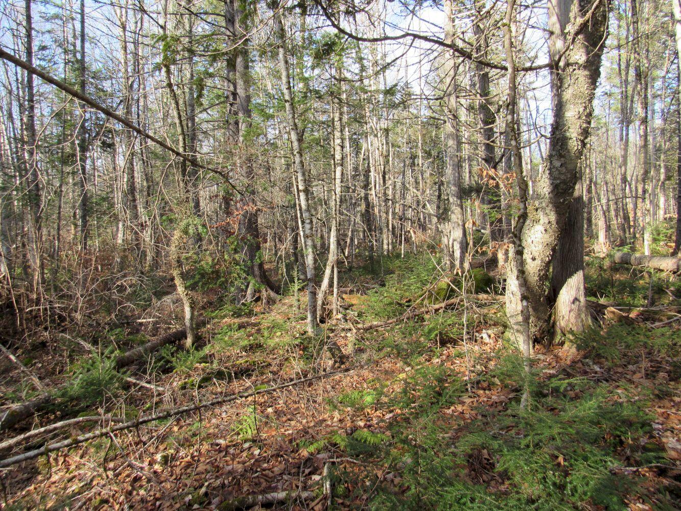 M5-l2 Parkman Road Wellington, ME 04942 - Photo 27 of 35 #26