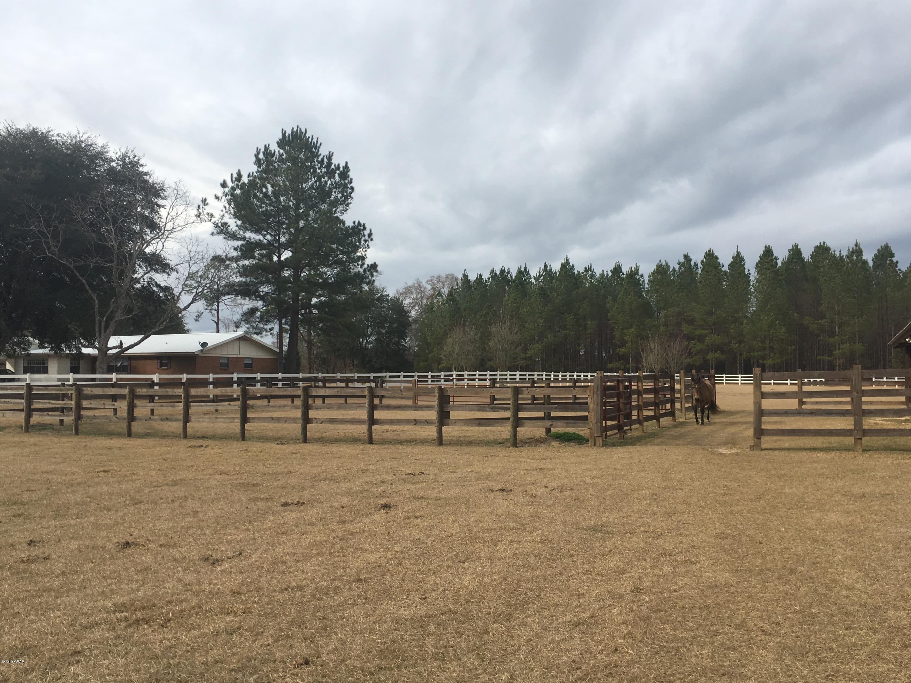 4165 Smokey Road Cottondale, FL 32431 - Photo 80 of 99
