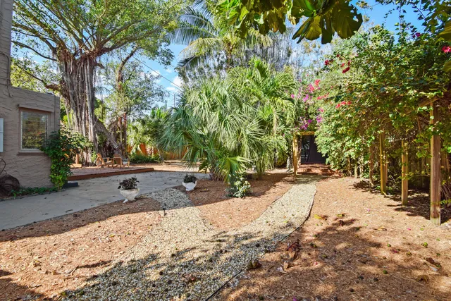 a view of a yard with plants and trees