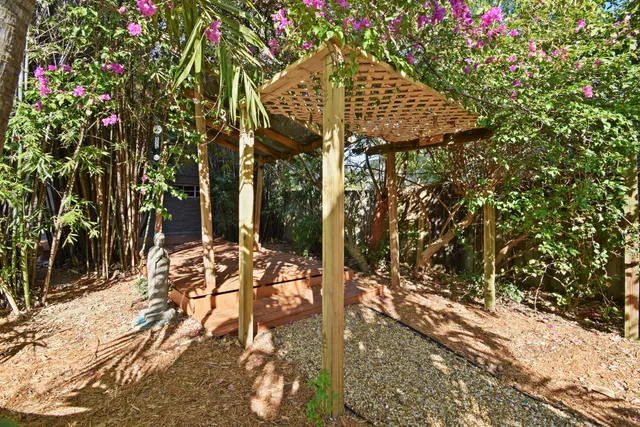a view of a backyard with palm trees