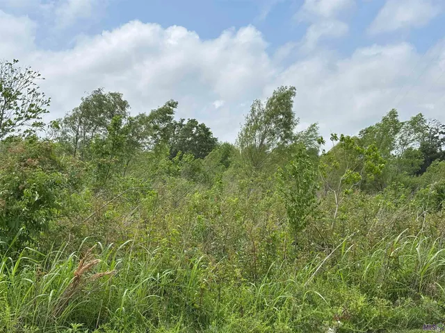 $10,000 | Tbd East 23rd Street, Larose, LA 70373