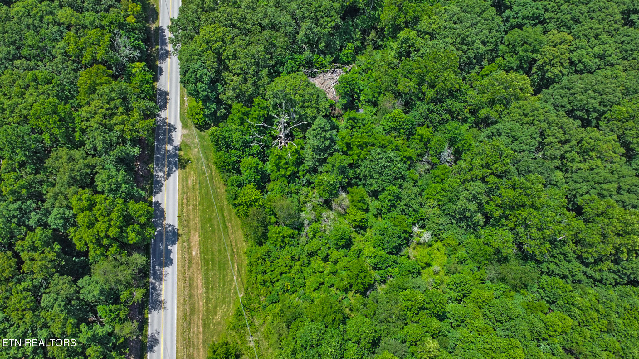 12902 Lantana Road Crossville, TN 38572 - Photo 3 of 11 dji_0024-dji_0026