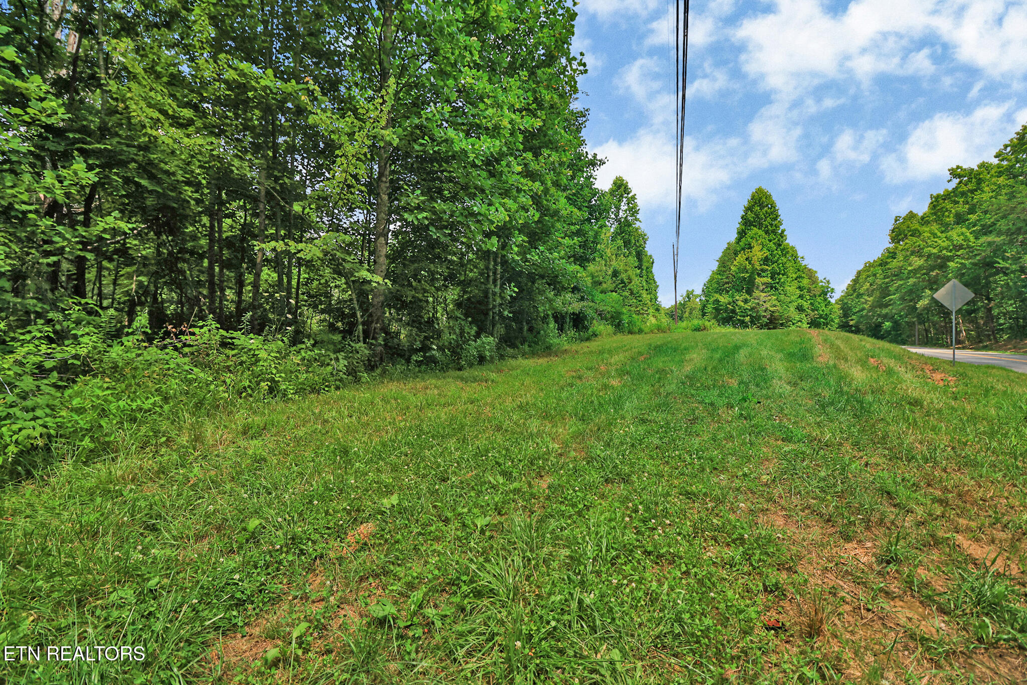 12902 Lantana Road Crossville, TN 38572 - Photo 7 of 11 IF1A4566