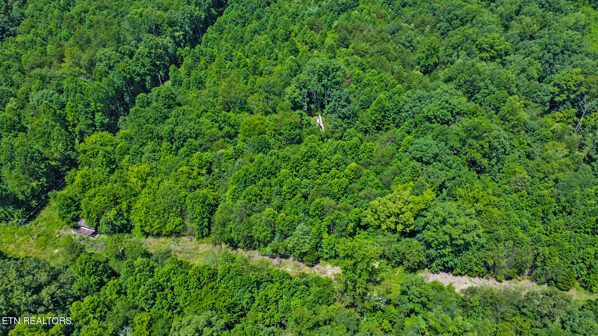 12902 Lantana Road Crossville, TN 38572 - Photo 8 of 11 dji_0009-dji_0011