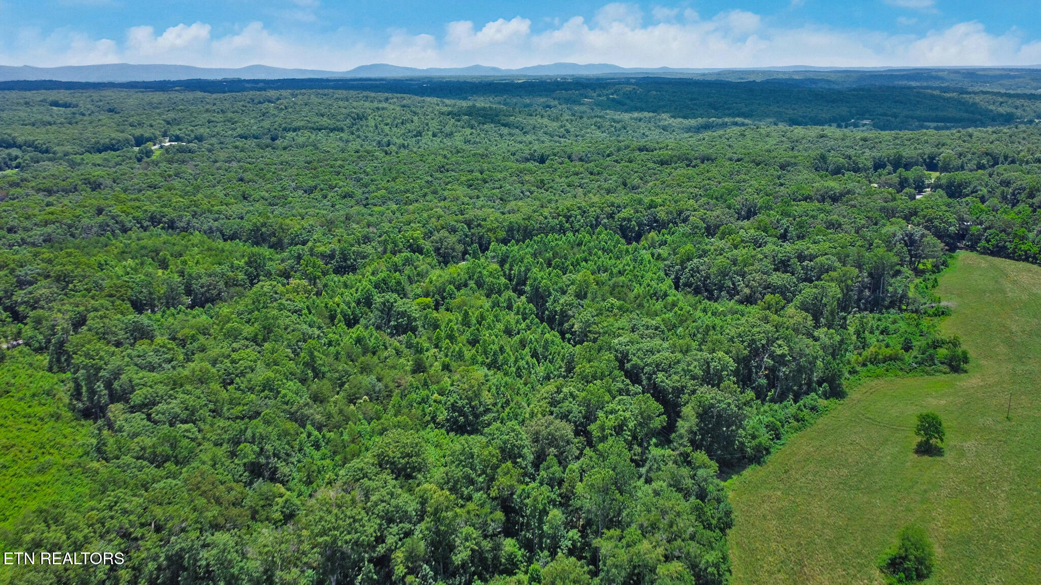 12902 Lantana Road Crossville, TN 38572 - Photo 9 of 11 dji_0012-dji_0014