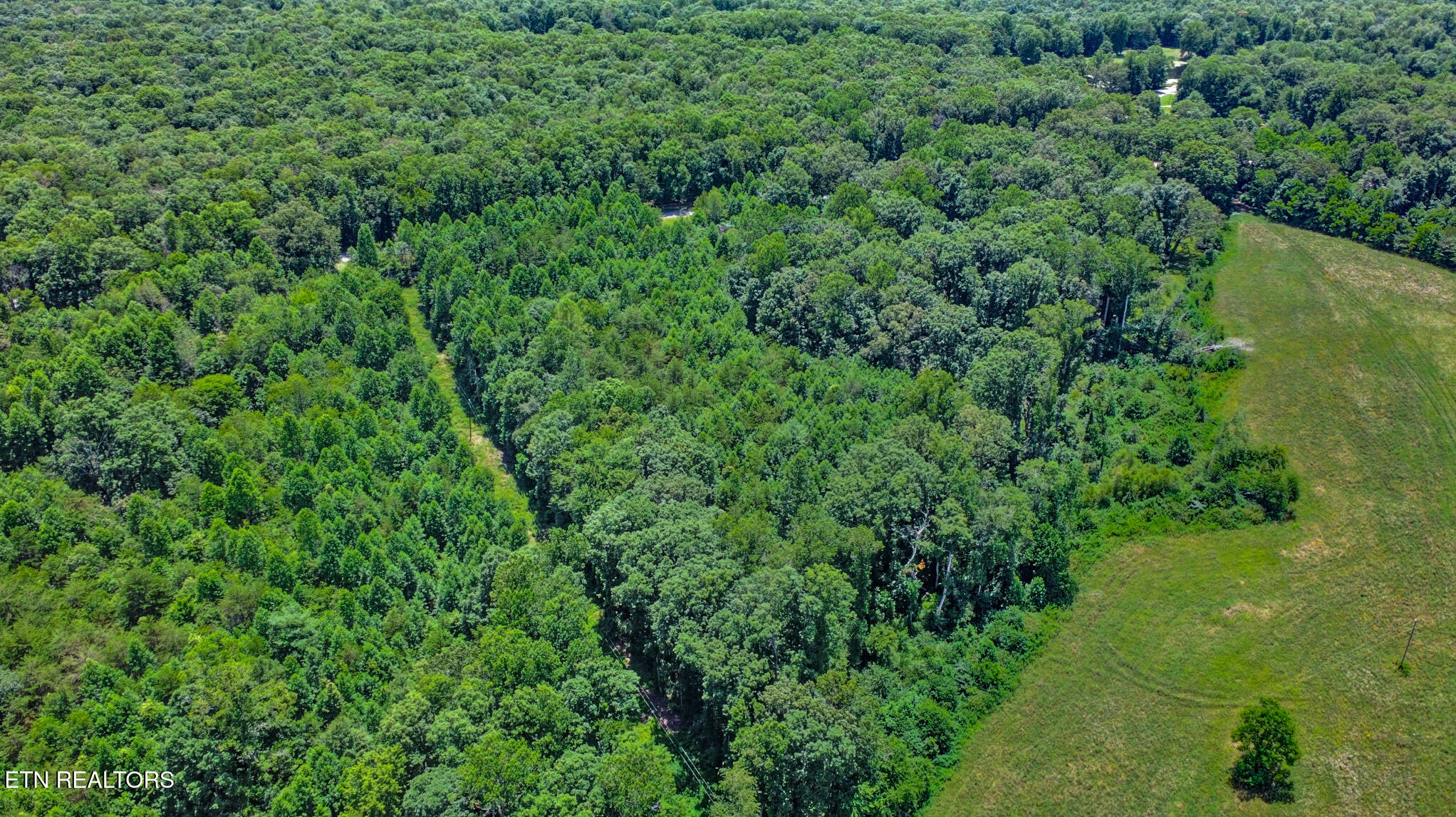 12902 Lantana Road Crossville, TN 38572 - Photo 10 of 11 dji_0015-dji_0017