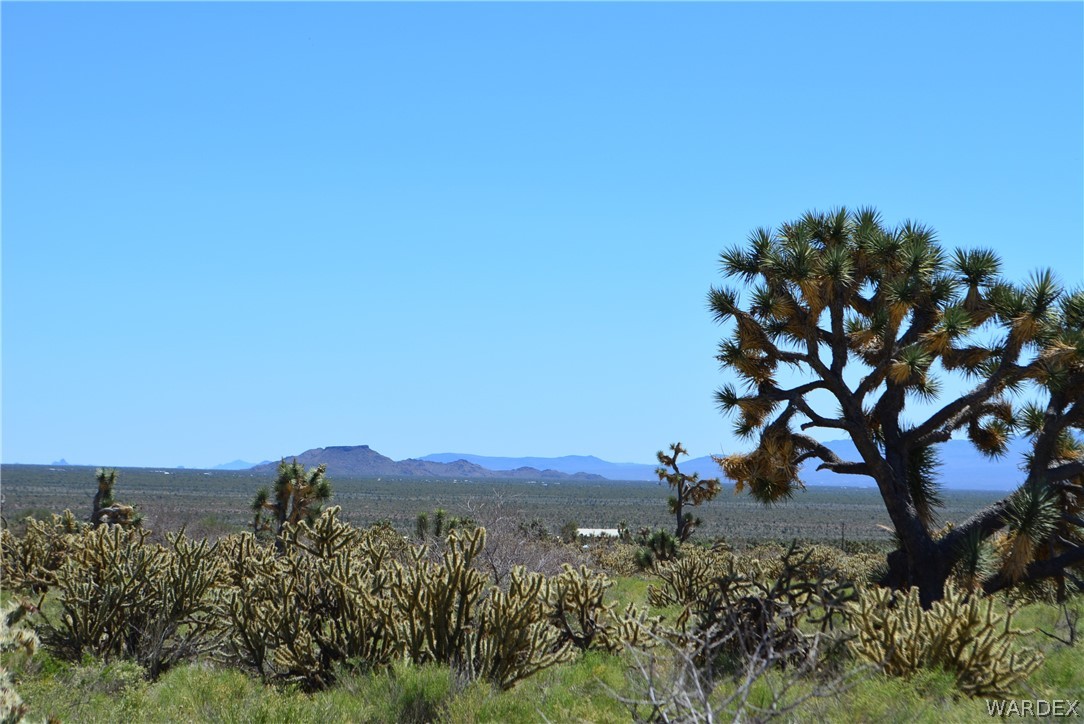 11559 Hansen Road Yucca, AZ 86438 - Photo 54 of 54 a view of a sky