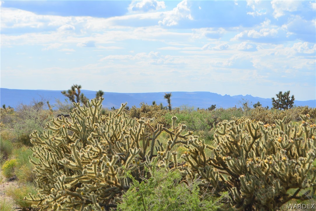 11559 Hansen Road Yucca, AZ 86438 - Photo 8 of 54 a view of a city