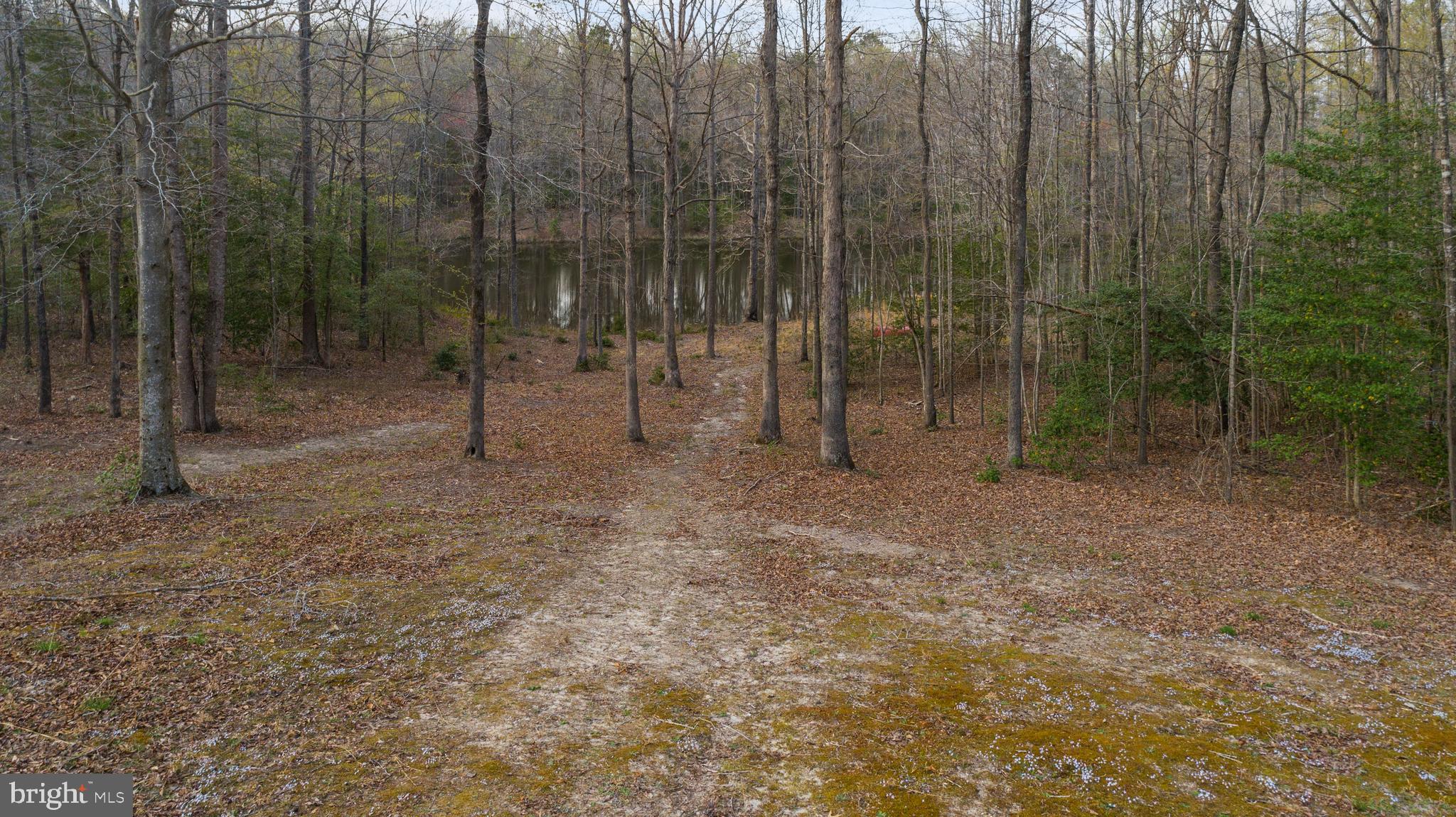 20202 Pendleton Road Bowling Green, VA 22427 - Photo 31 of 38 Gallery Image 31