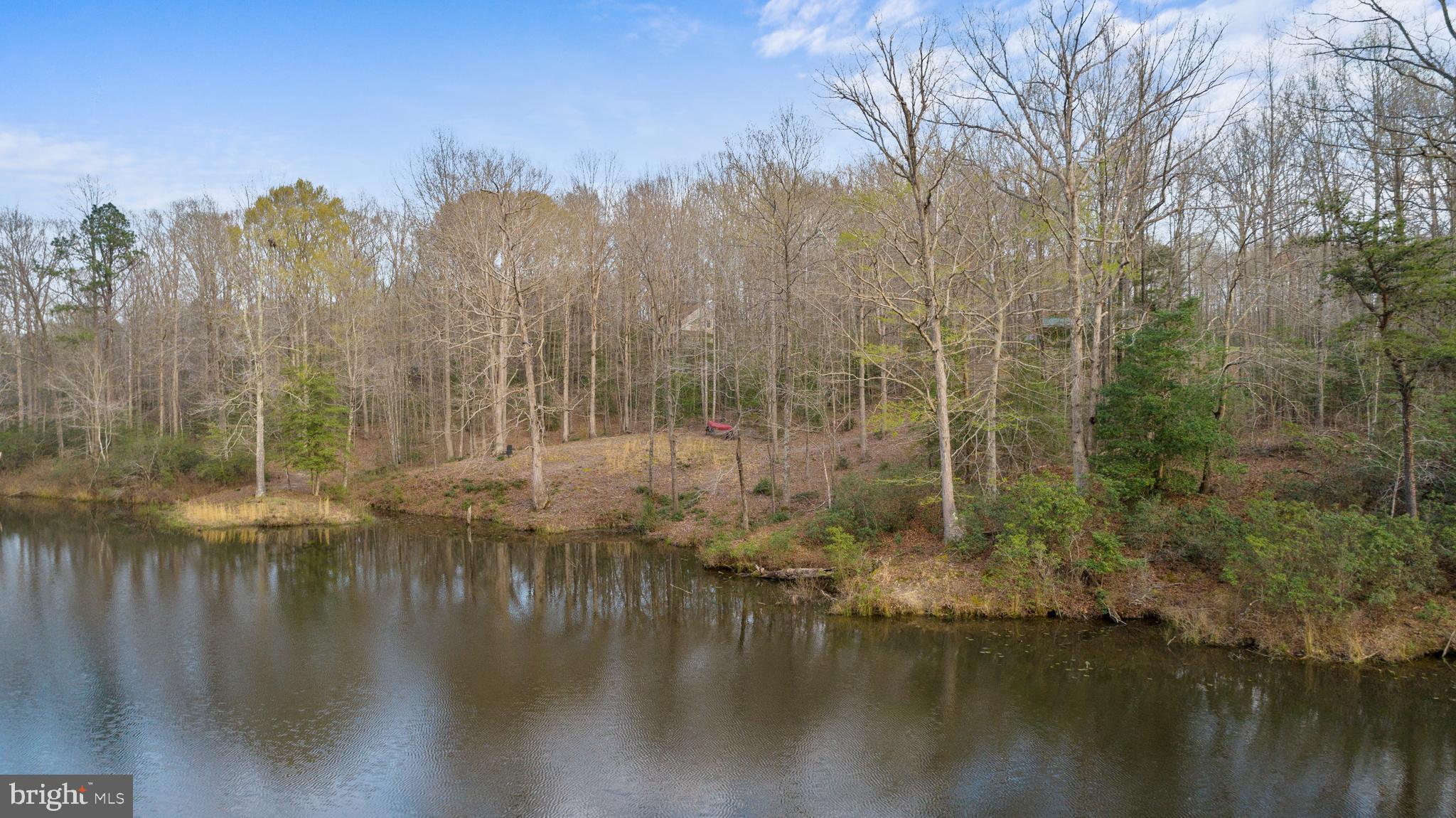20202 Pendleton Road Bowling Green, VA 22427 - Photo 37 of 38 Gallery Image 37