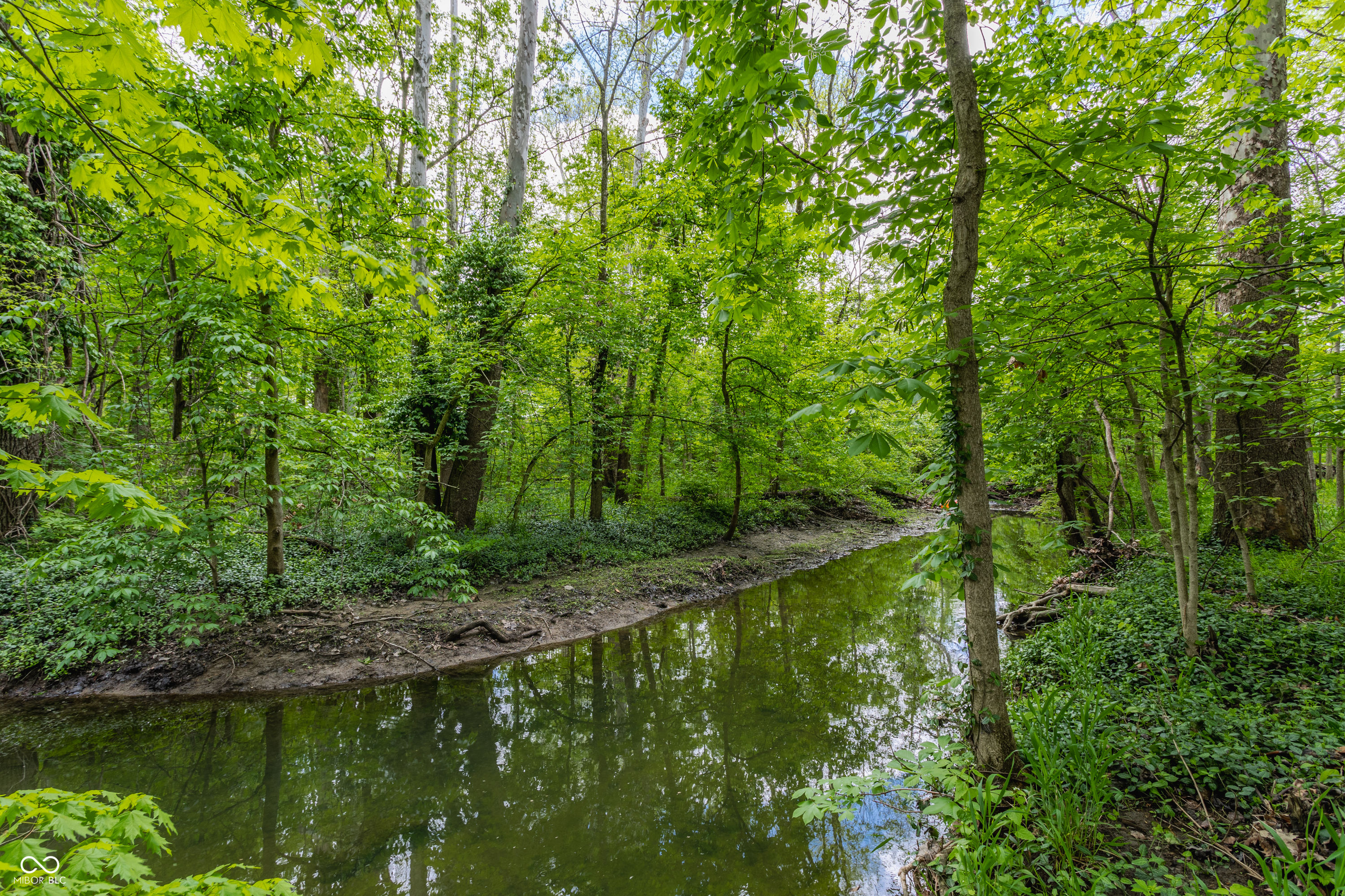 12469 Spring Mill Road Carmel, IN 46032 - Photo 66 of 66