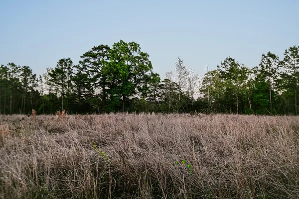 $42,500 | 4007 Farm To Market 834, Hull, TX 77564