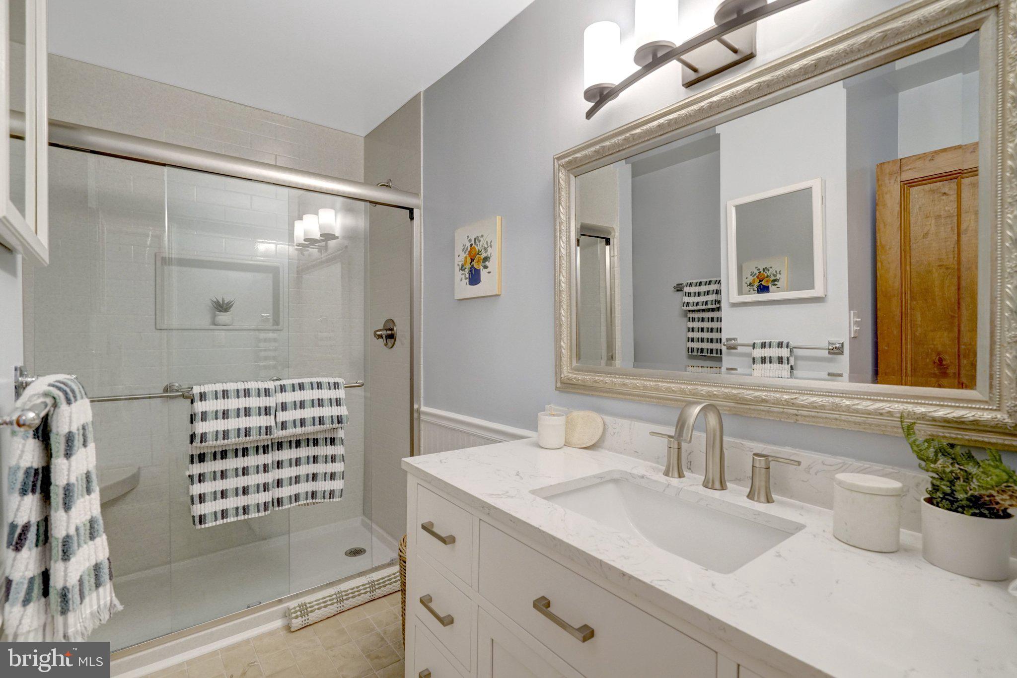 707 10th Street Southeast Washington, DC 20003 - Photo 27 of 46 Hall bath w/glass stall shower, vanity + shelving